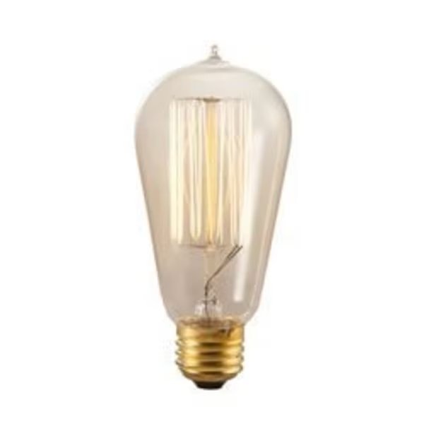 Light, Fst19D60Gl1 Incandescent Decorative Edison, Ilb Gold, Mfr#: FST19D60GL1